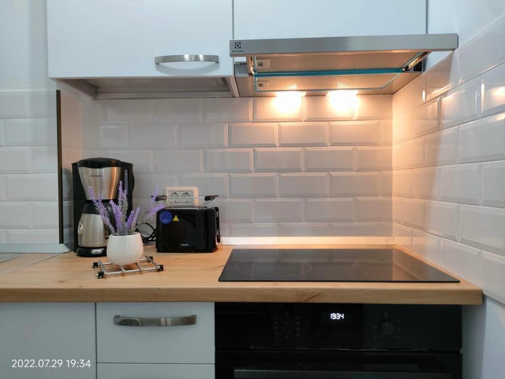 Lavanda Studio Braşov Extérieur photo