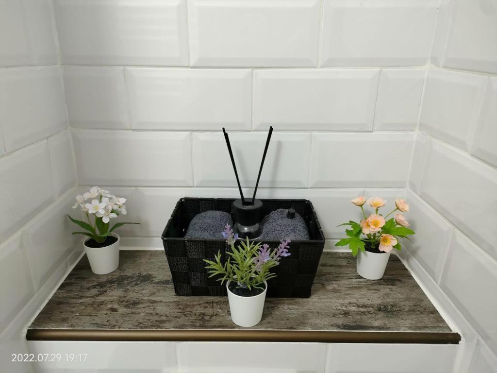 Lavanda Studio Braşov Extérieur photo