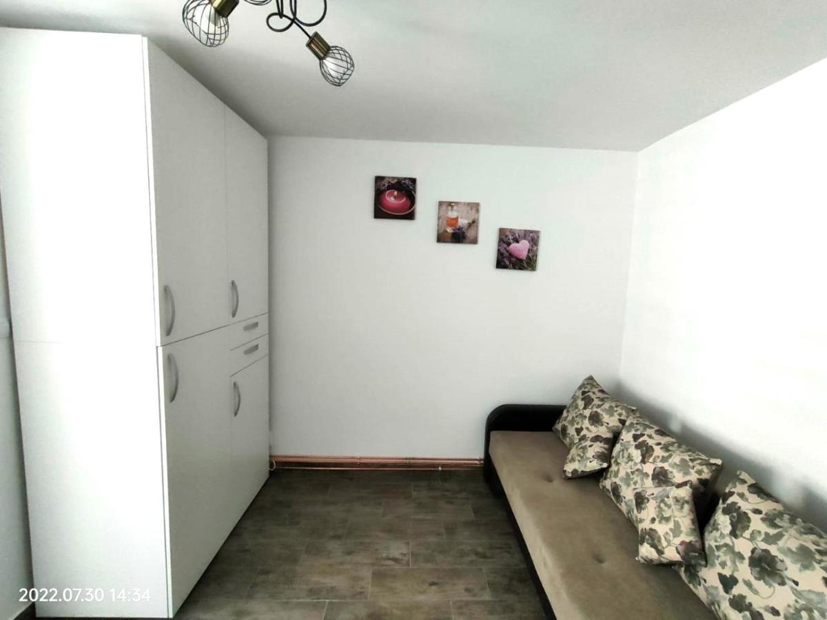 Lavanda Studio Braşov Extérieur photo
