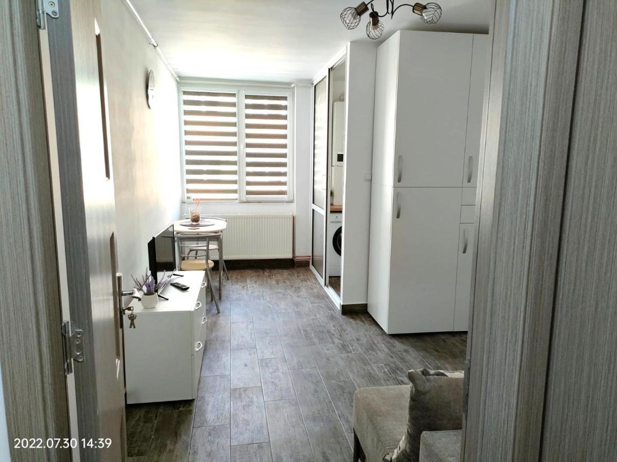 Lavanda Studio Braşov Extérieur photo